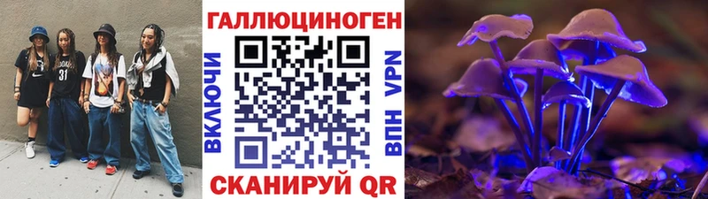 Псилоцибиновые грибы мицелий  Купить  Томмот 