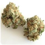 Шишки "White Widow"  (Белая вдова)  Гидропоника -  Бошка VHQ в Томмоте